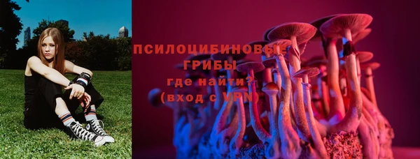 крисы Лагань