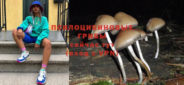 крисы Лагань