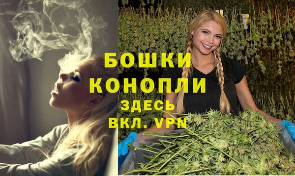 молекула духа Лихославль