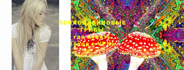 мдпв Лиски