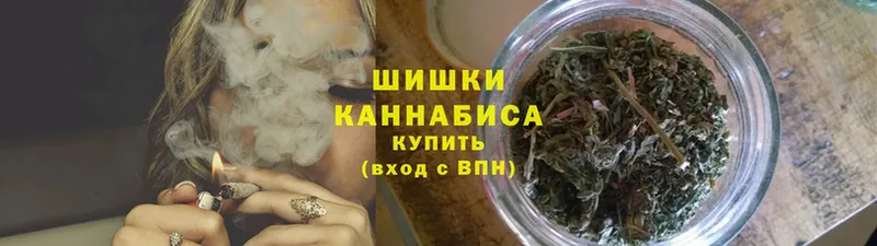 Каннабис планчик  где можно купить   Котово 